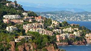 Traitement punaises de lit Cagnes-sur-Mer